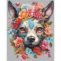 Animal Integration-DW 567